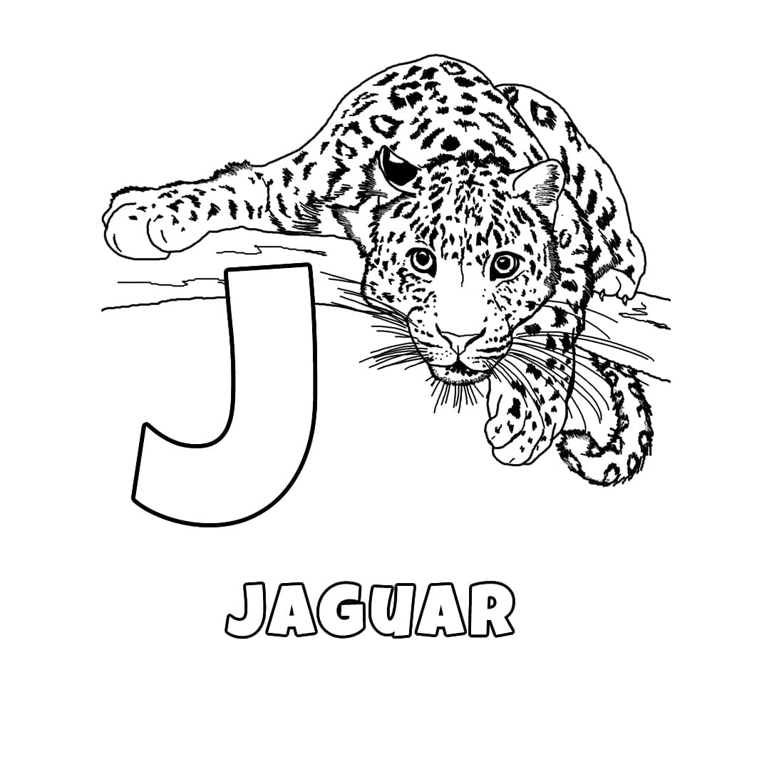 Letter J voor Jaguar