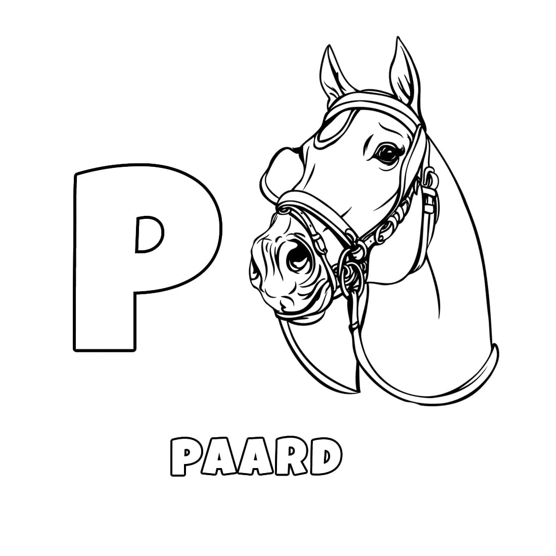 Letter P voor Paard