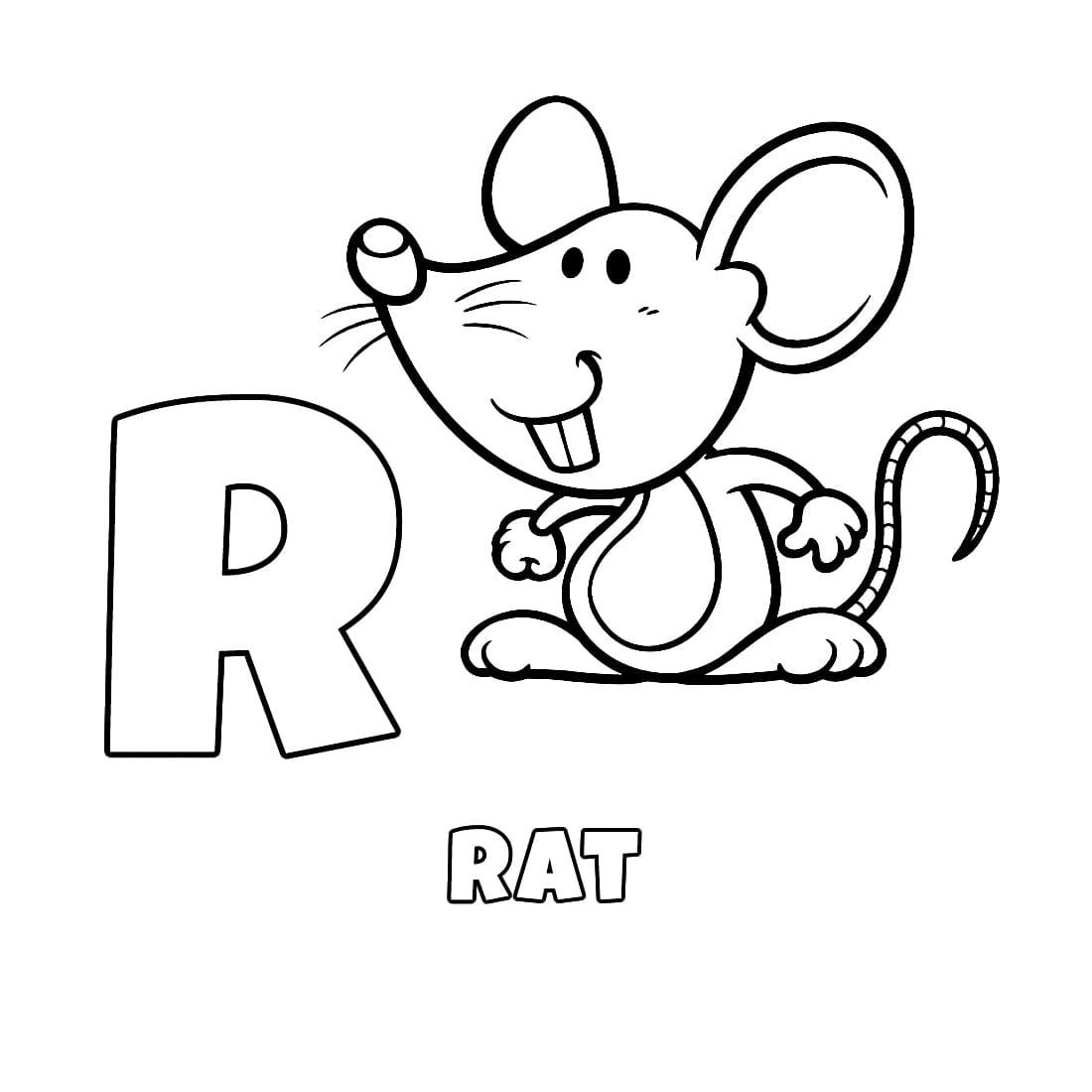 Letter R voor Rat