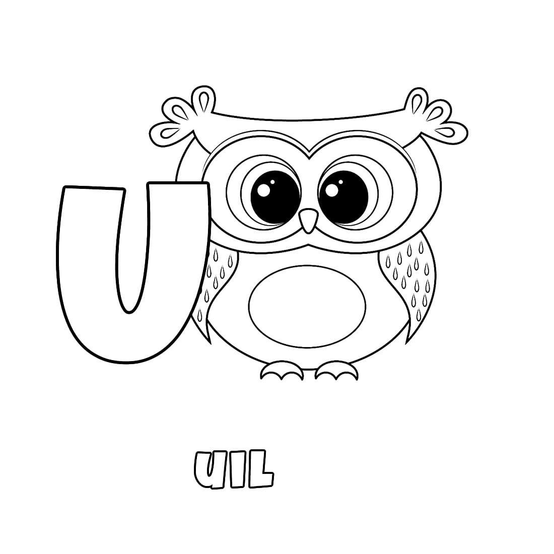 Letter U voor Uil