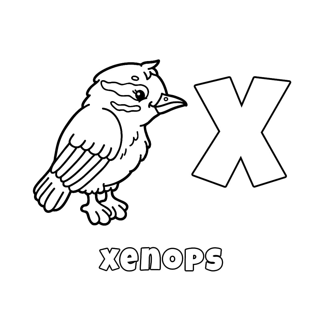 Letter X voor Xenops