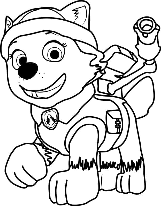 Fijne Everest Paw Patrol