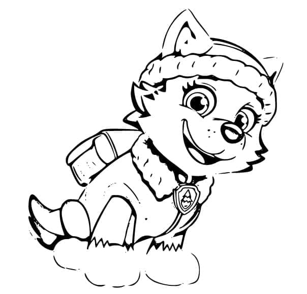 Lief Everest Paw Patrol