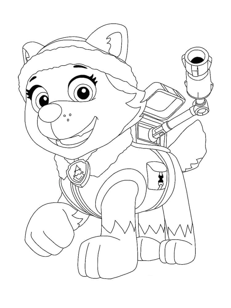 Schattige Everest Paw Patrol