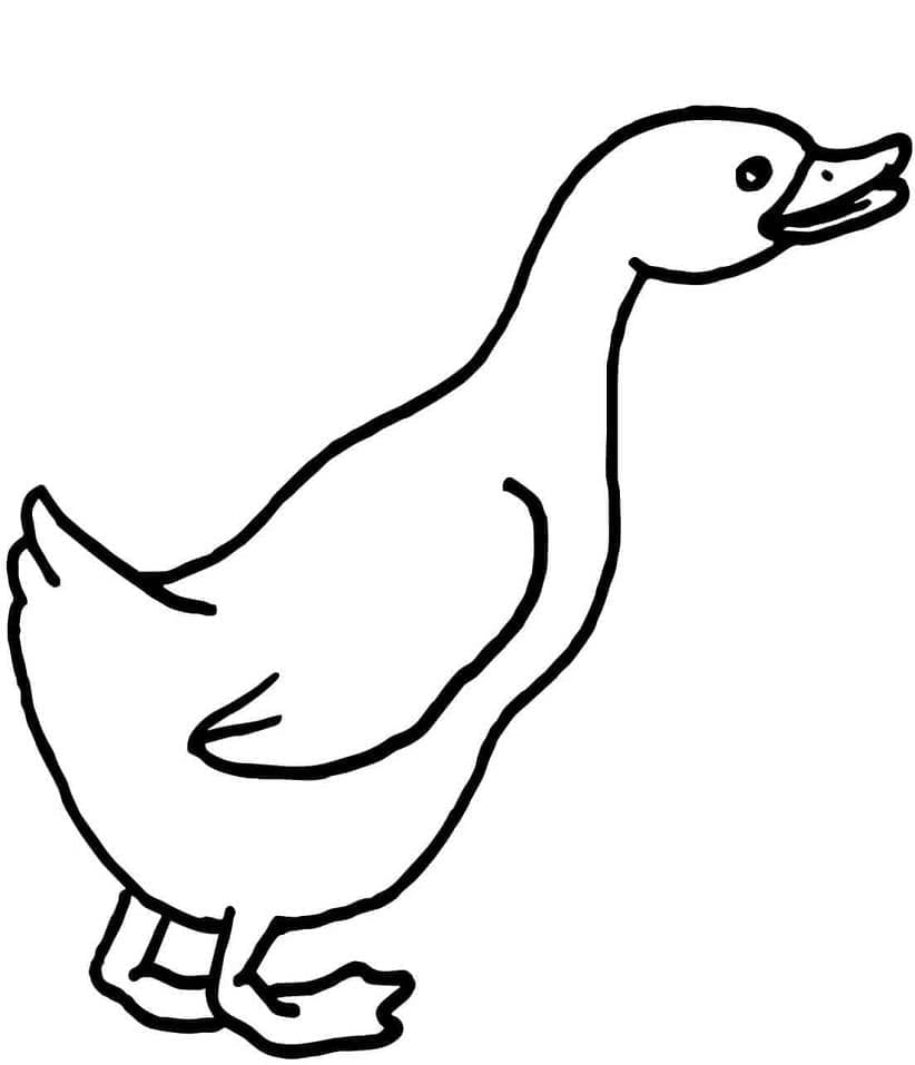 Een gans