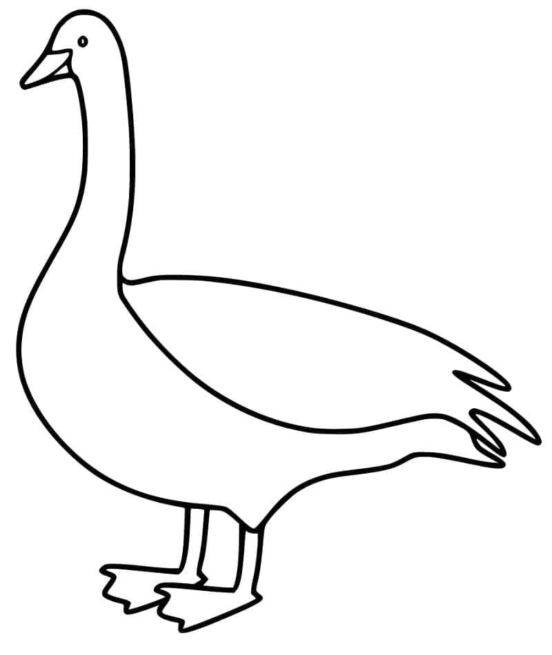 Makkelijke gans