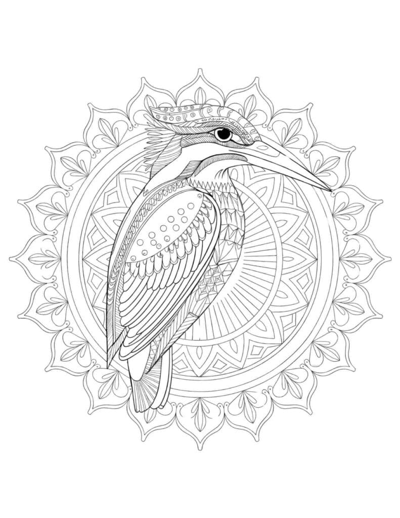 Mandala IJsvogel