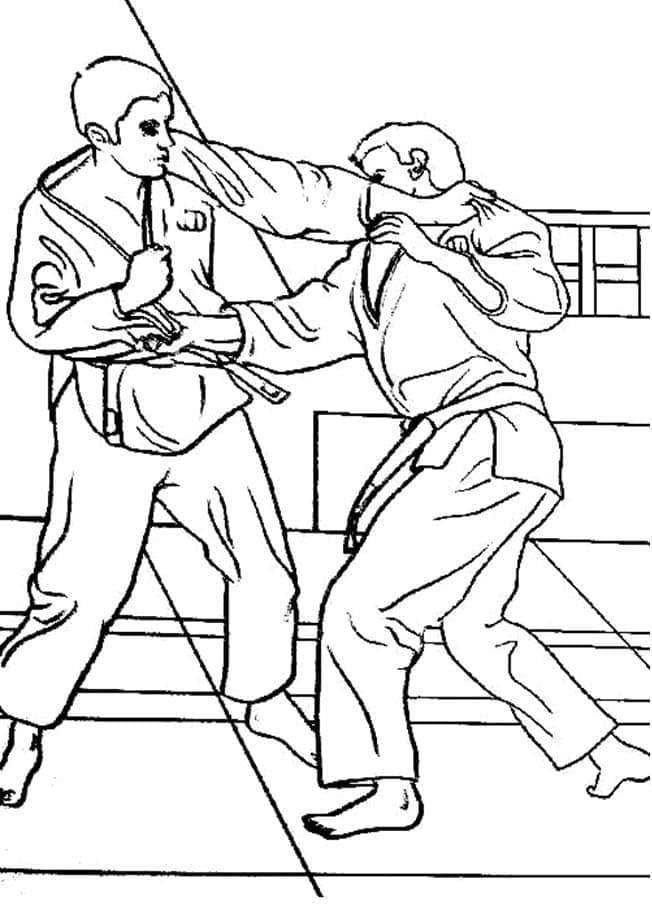 Judo 1