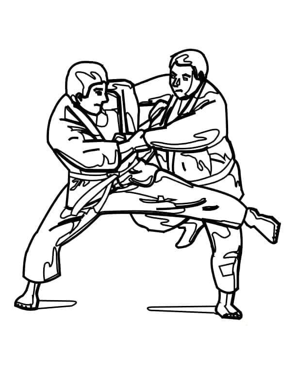 Judo 2