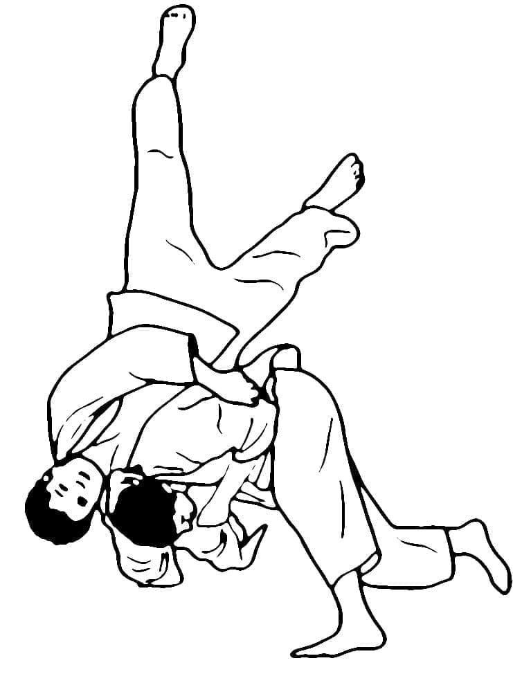 Judo technieken