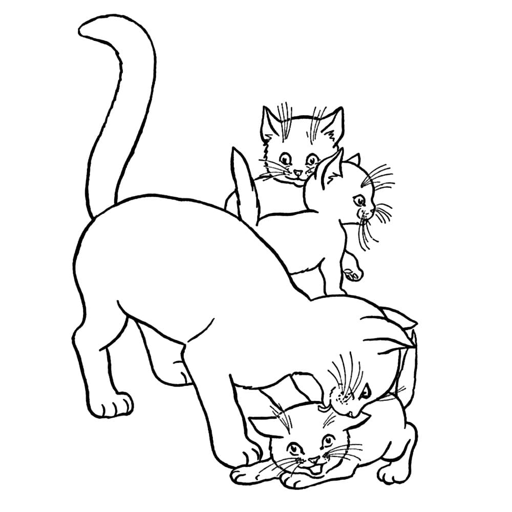 Katten En Poezen Kleurplaten Kinderen Kleurplaat Katten En Poezen Kleurplaten Kinderen Kleurplaat