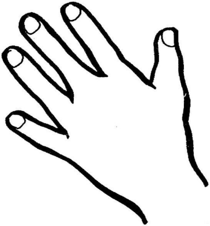 Hand Menselijk Lichaam afbeelding
