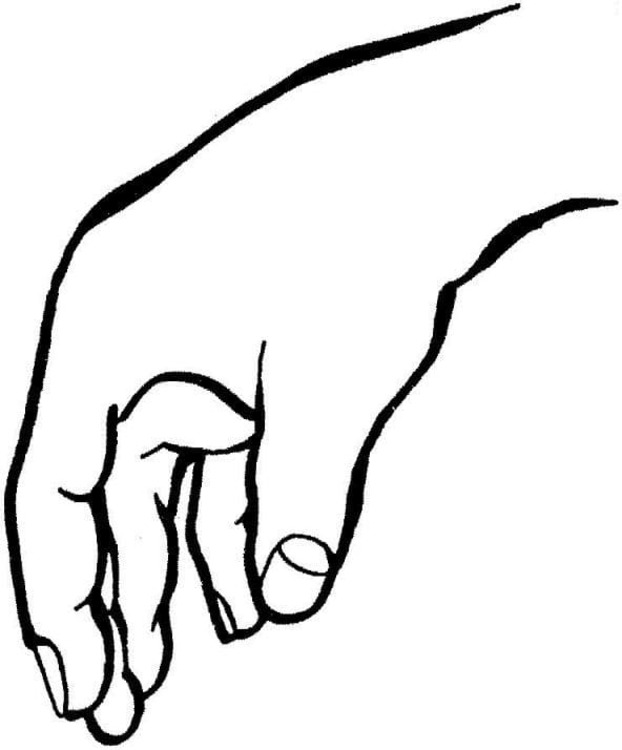Hand Menselijk Lichaam