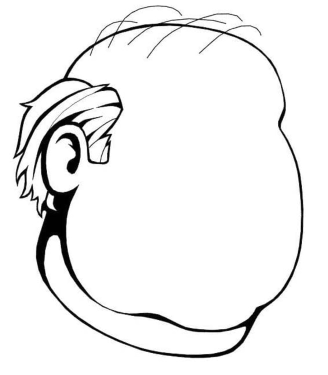 Menselijk Lichaam 4