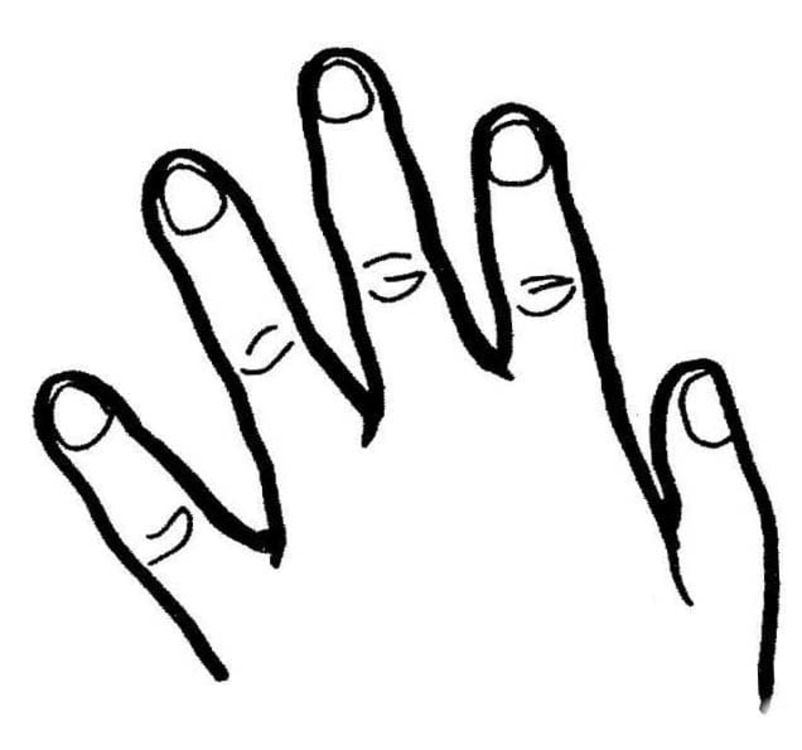 Menselijk Lichaam hand