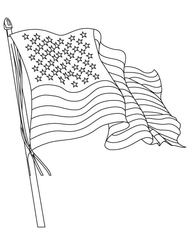 Noord Amerika 8