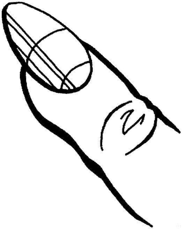 Vinger Menselijk Lichaam