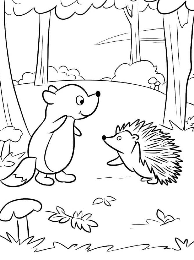 Egel en eekhoorn gratis