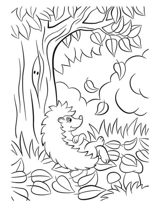 Egel herfst gratis