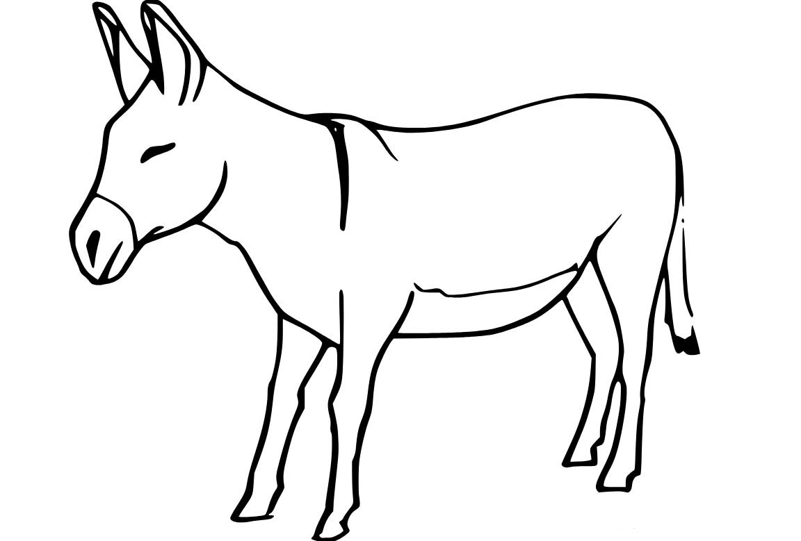 Ezel 1