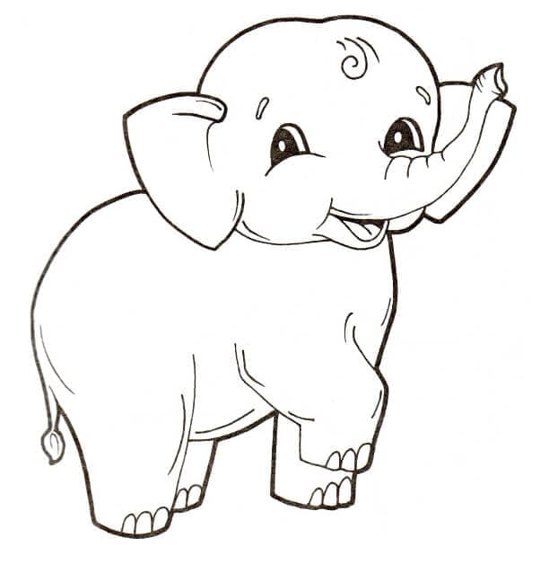 Olifant 1