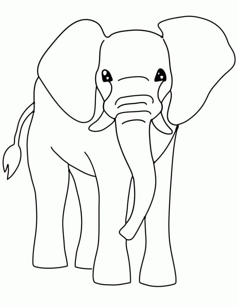 Olifant 3