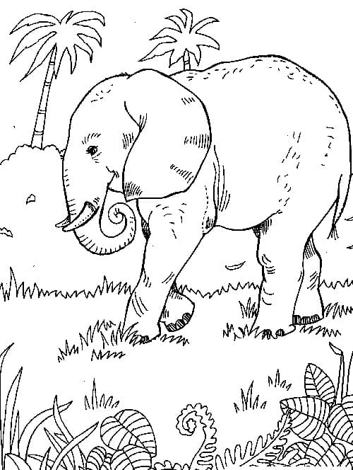 Olifant moeilijk gratis afdrukbaar