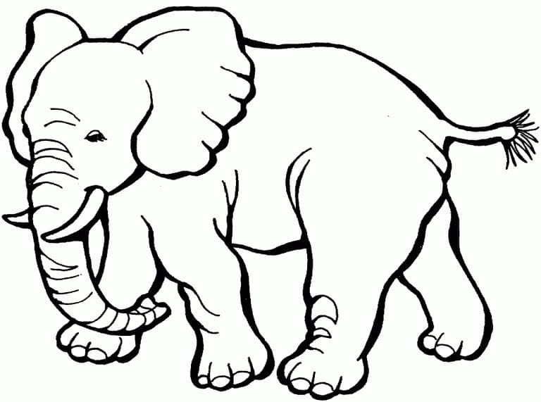 Olifant