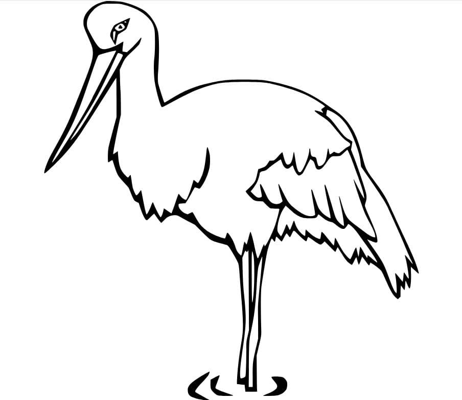 Ooievaar 7
