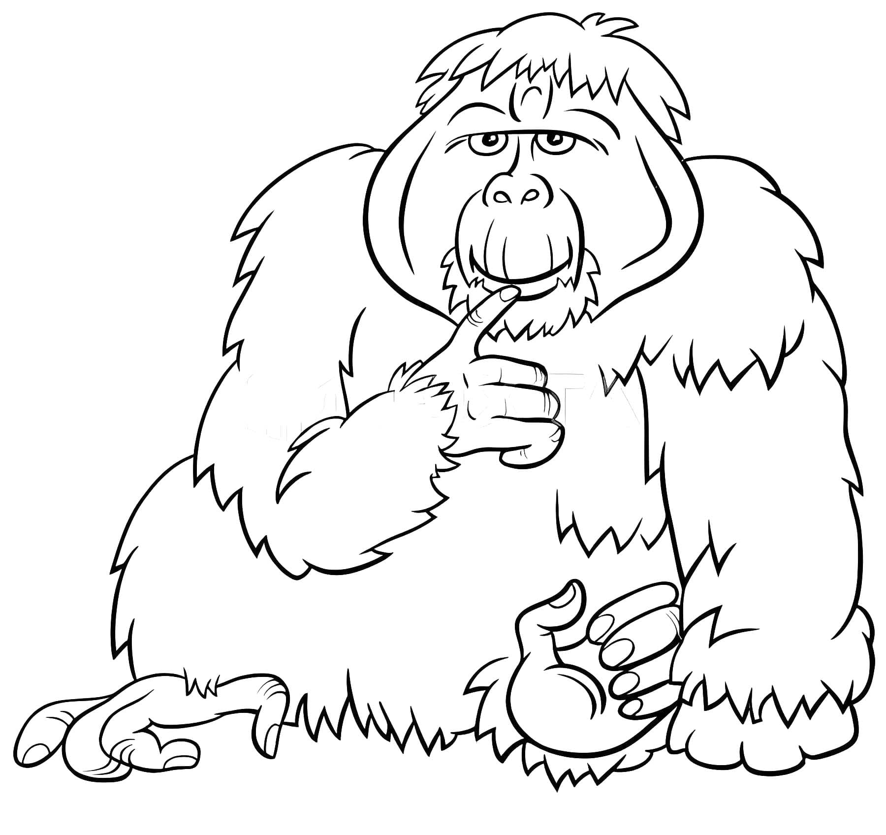 Orang-oetans tekenen basis