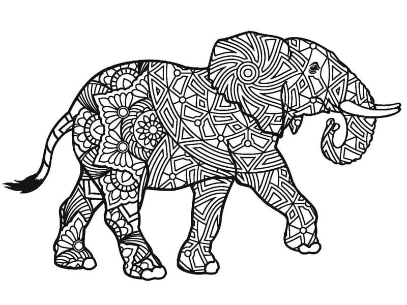 Tekenen olifant mandala