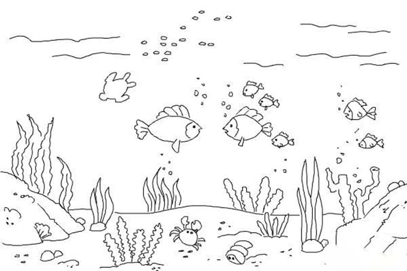 Tekenen onderwaterwereld