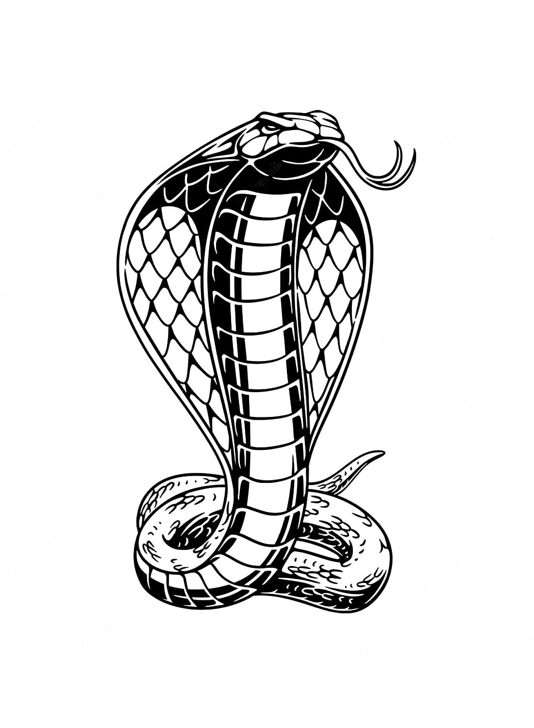 Afbeelding Cobra Slang afdrukbaar
