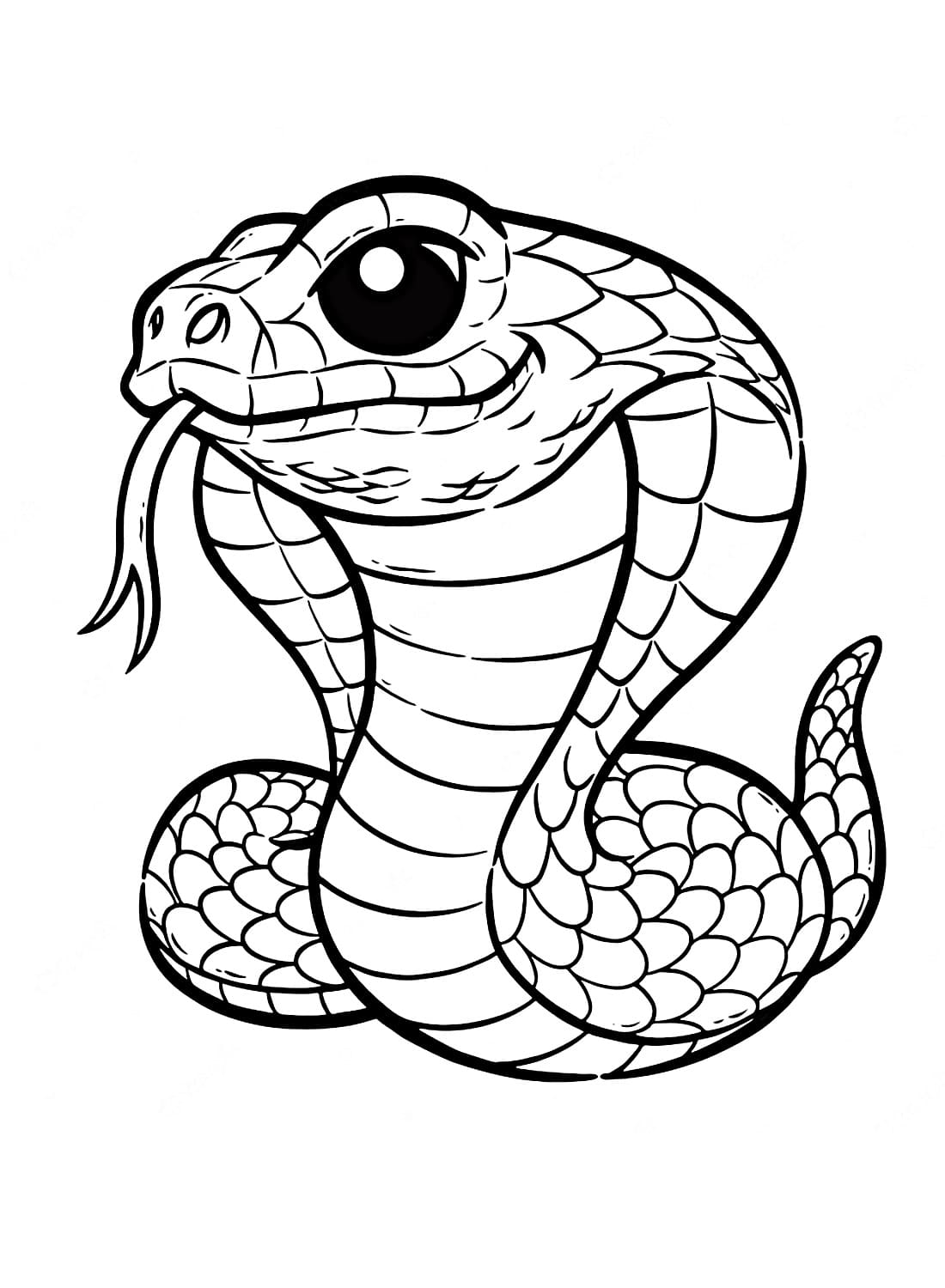 Afbeelding Cobra Slang gratis