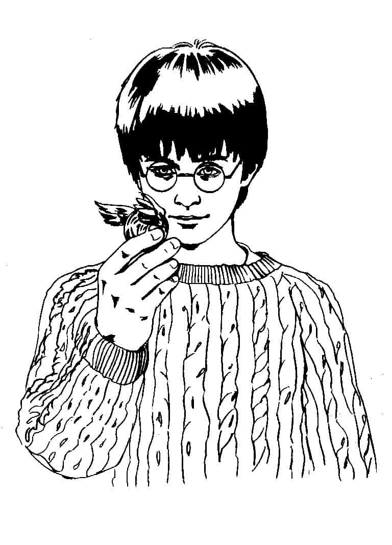 Afbeelding Harry Potter afdrukbaar