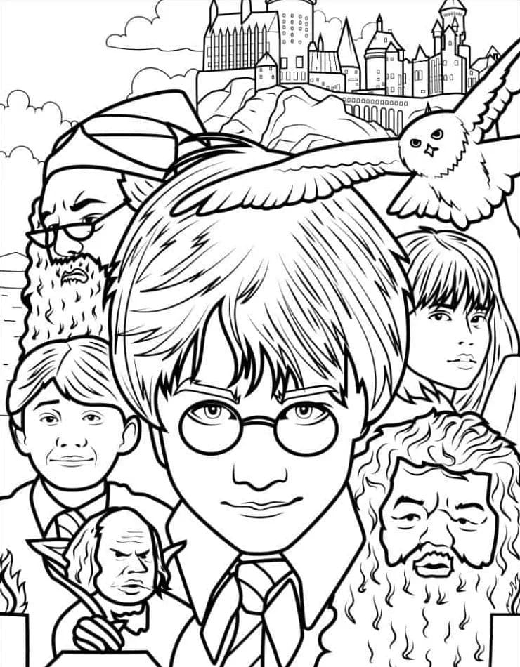 Afbeelding Harry Potter figuur