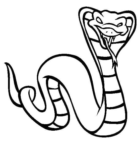 Tekenen Cobra Slang 7