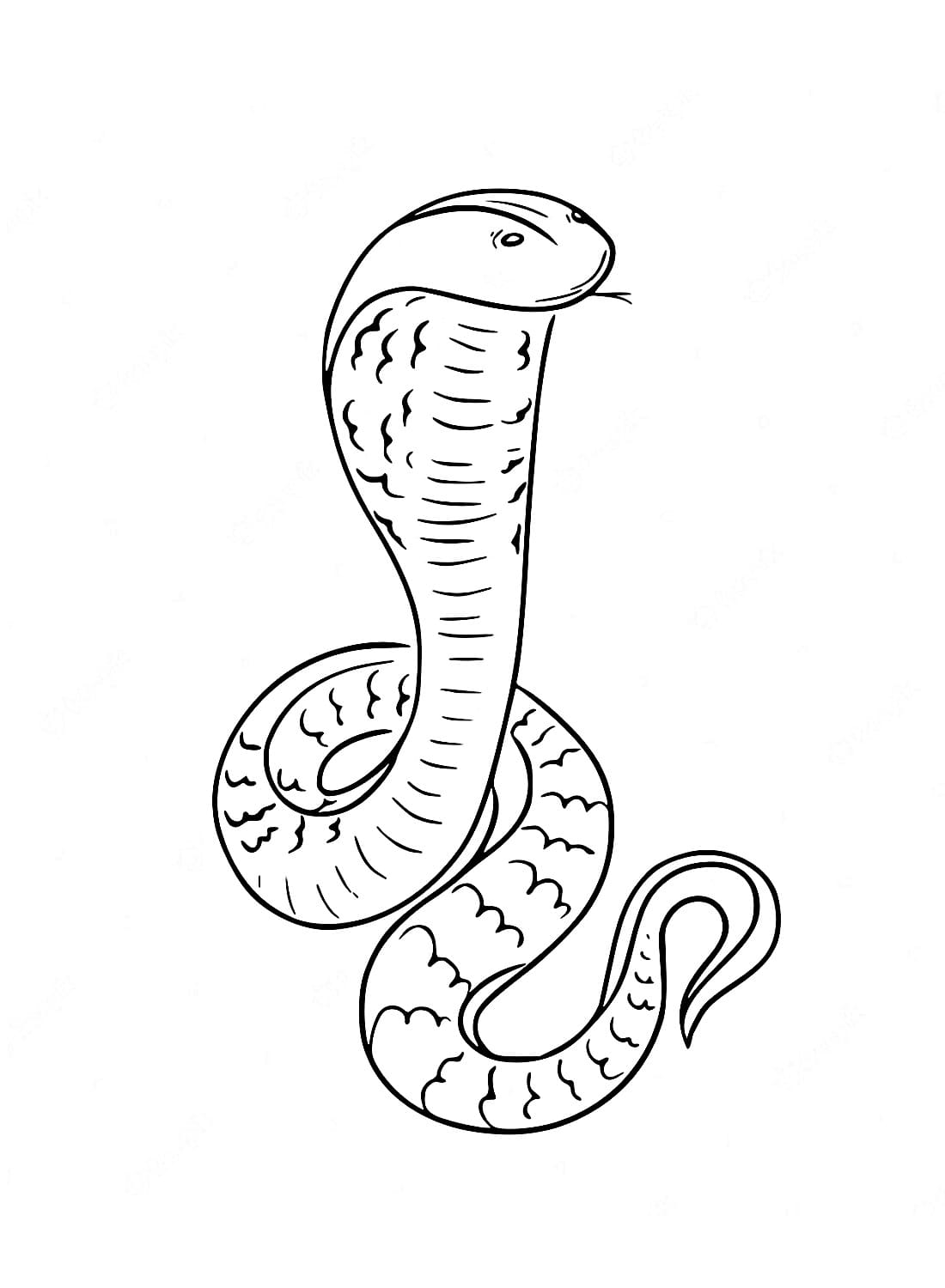 Tekenen Cobra Slang 8