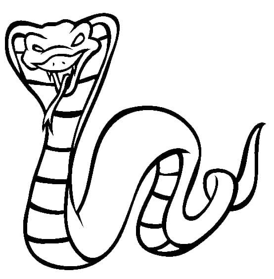 Tekenen Cobra Slang eenvoudig