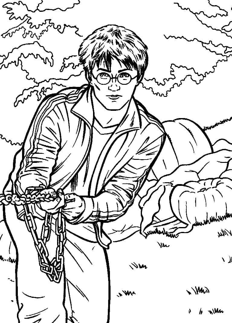Tekenen Harry Potter afdrukbaar voor kinderen