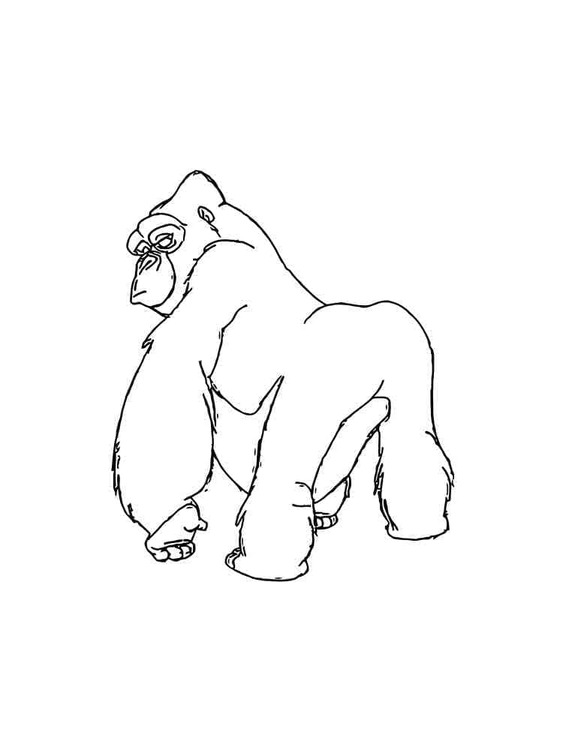 Bokito 2