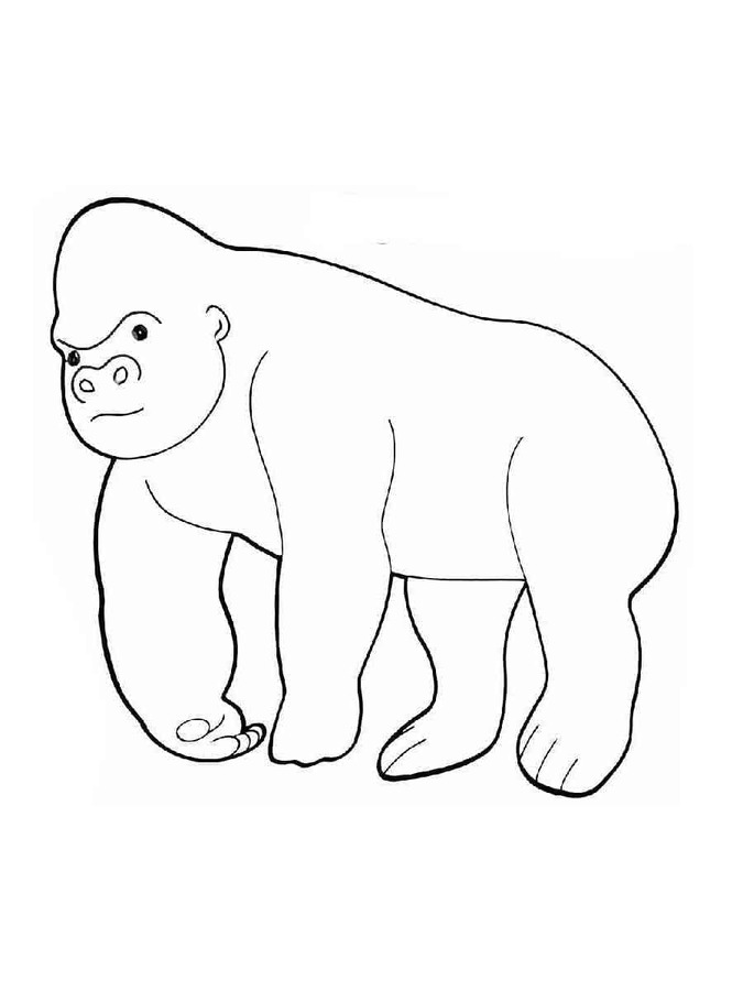 Bokito 4