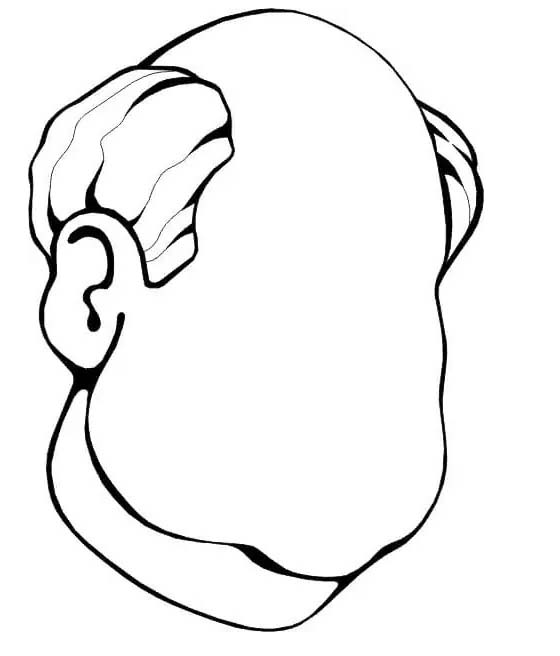 Gezichten basis
