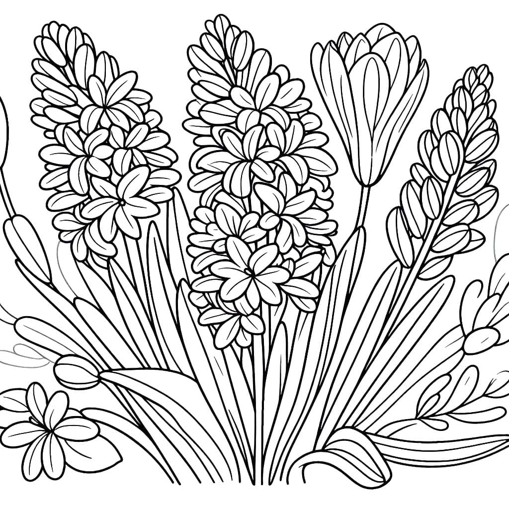 Hyacinth afdrukbare basis