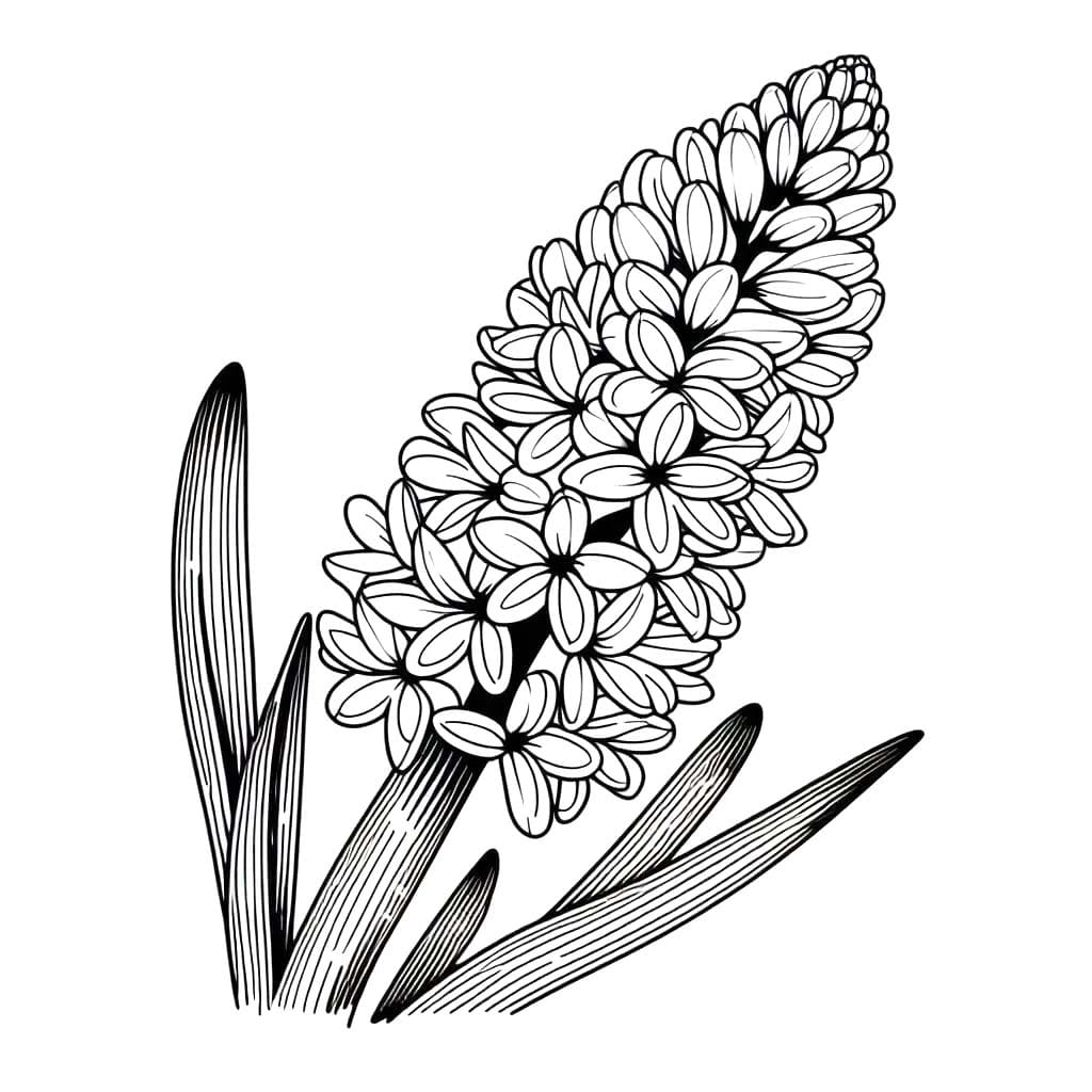 Hyacinth gratis afdrukbaar