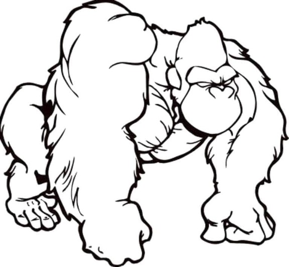 Bokito (Gorilla)