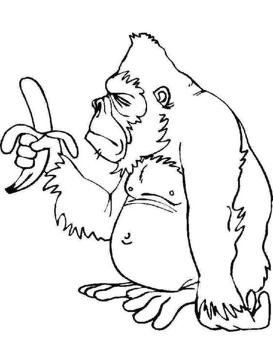 Tekenen Bokito en banaan
