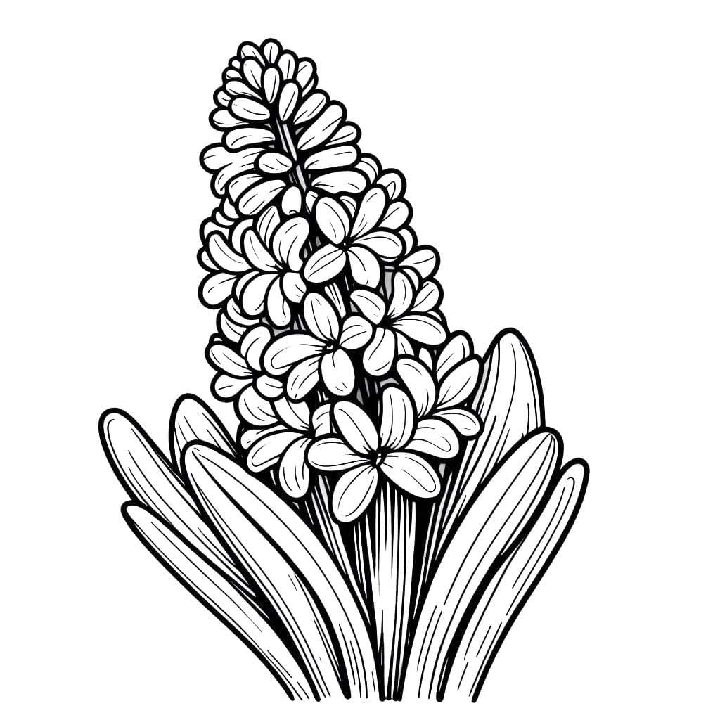 Tekenen Hyacinth afdrukbaar