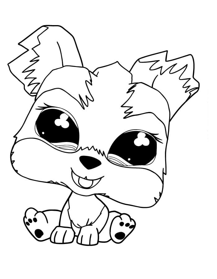 Afbeelding Littlest Pet Shop