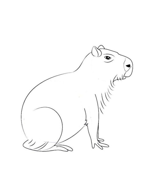Capibara afdrukbaar voor kinderen